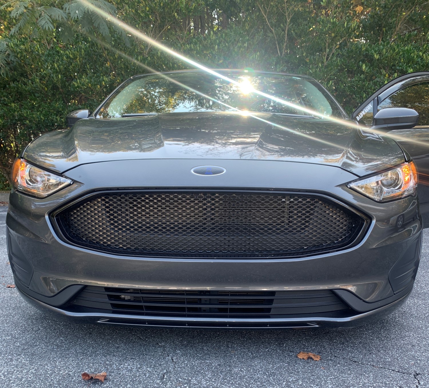 2017 - 2018 Ford Fusion Mesh Grill Piece #2