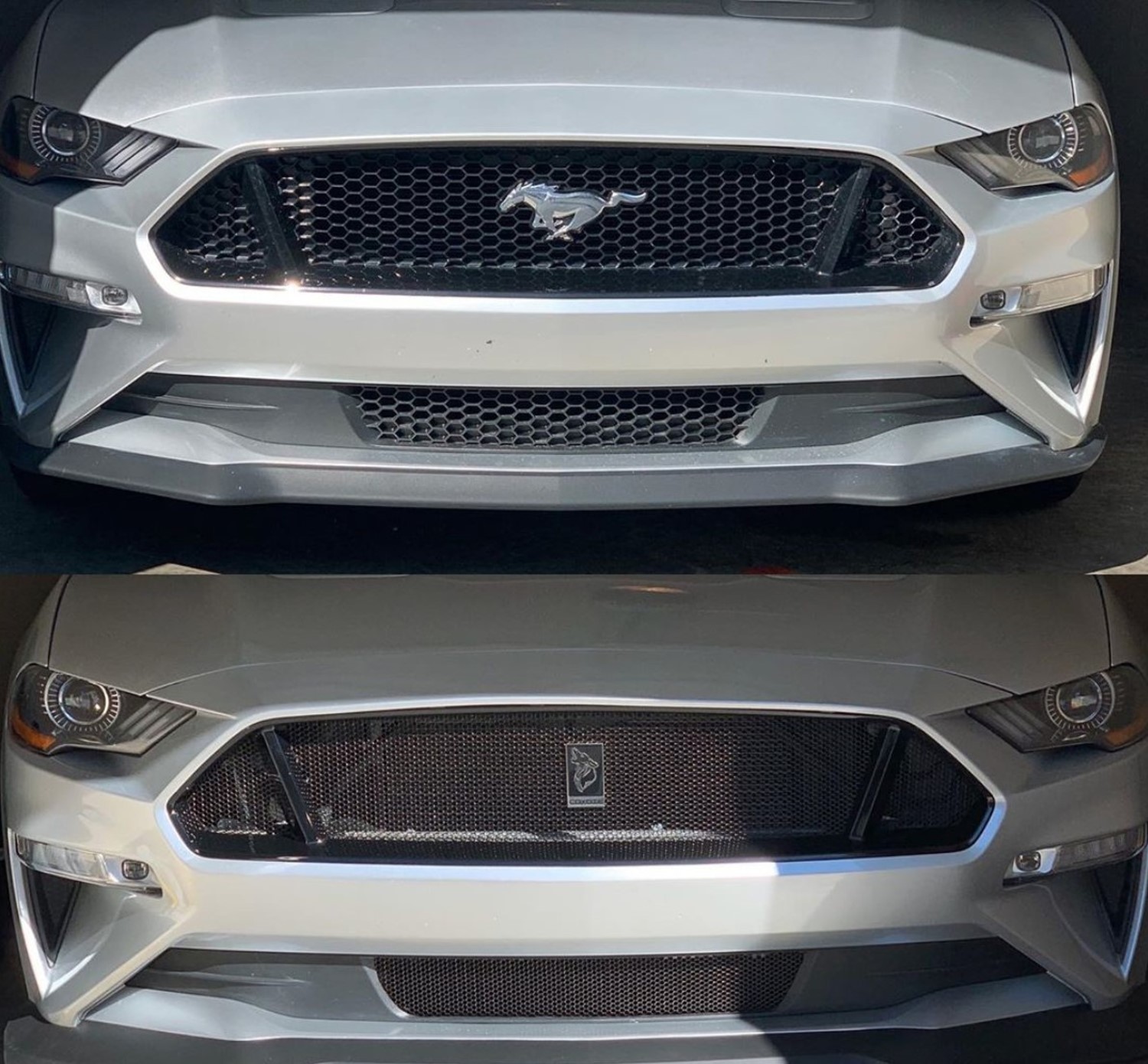 2018 - 2023 Ford Mustang GT Mesh Grill Insert kit by customcargrills
