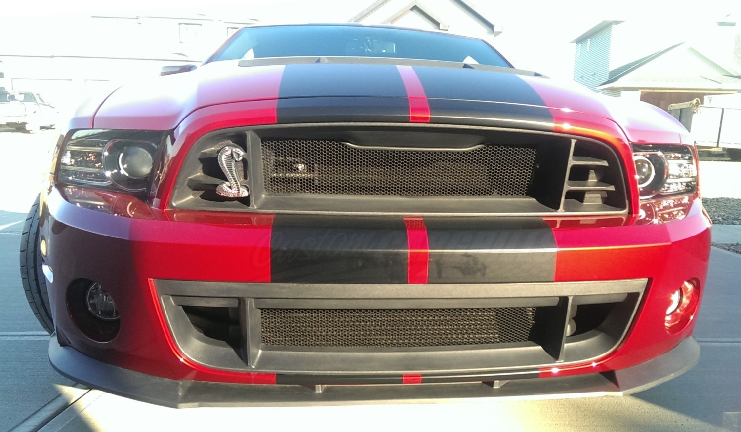 Mesh Grill Kit for 2013 - 2014 Ford Mustang GT500 #4