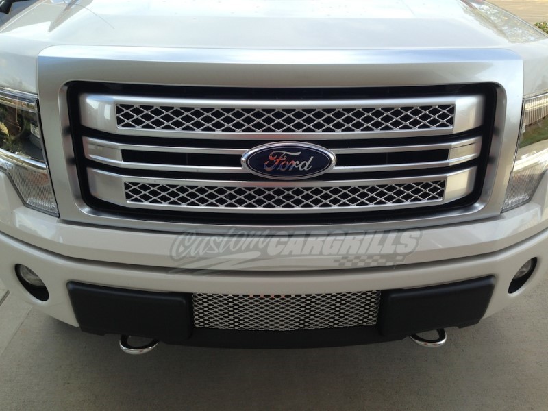 Custom grills for ford trucks #6