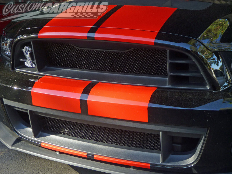 Custom ford automotive grills #6