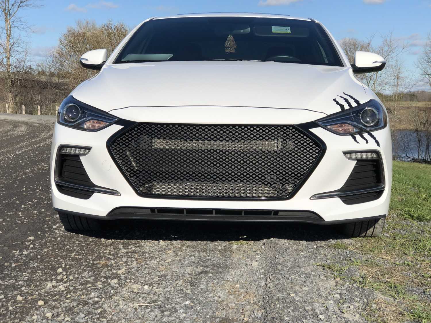 Custom Mesh Grills for Hyundai Elantra by customcargrills.com