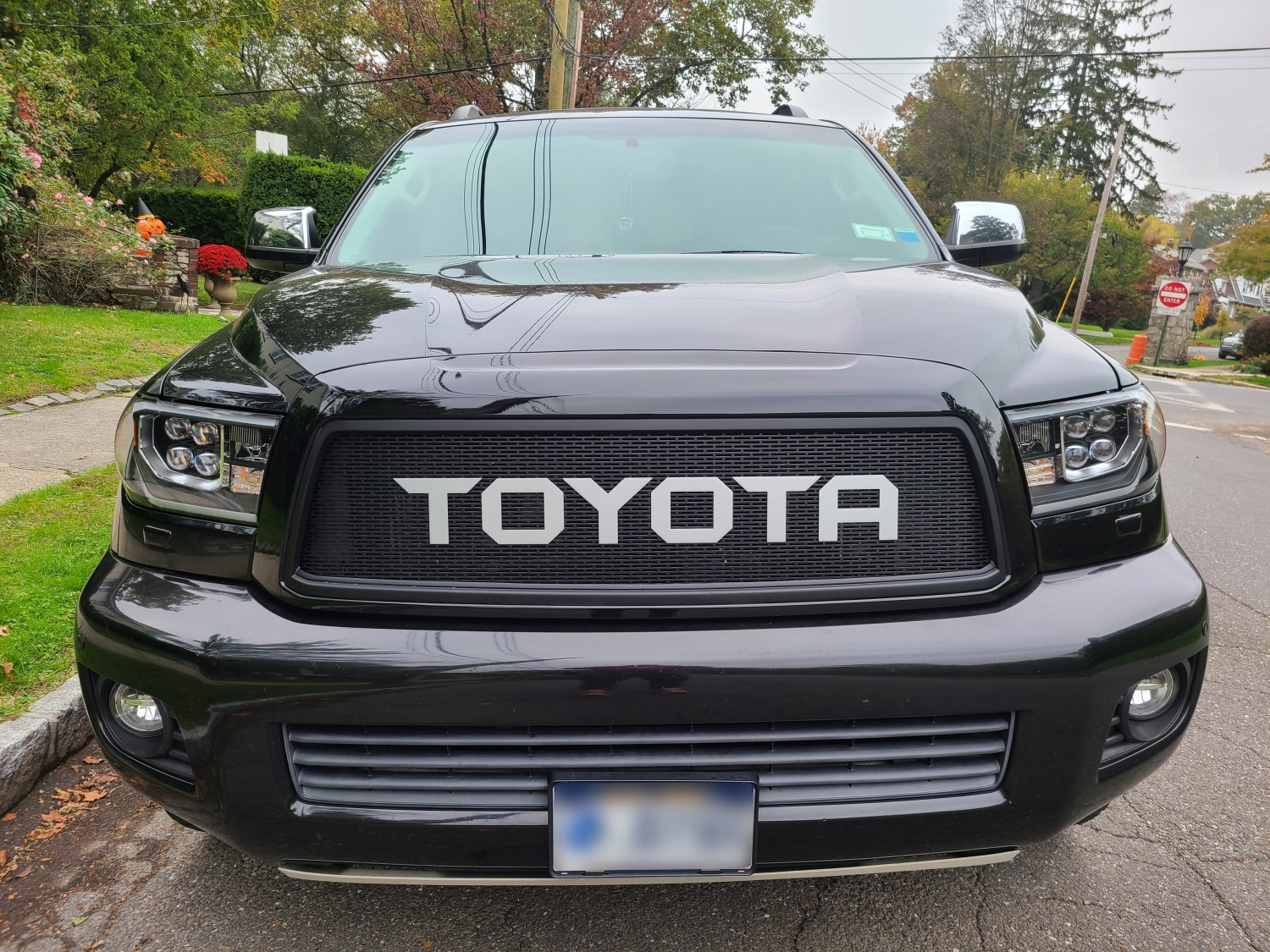 2008-17 Toyota Sequoia Mesh Grill Insert with Big Letters by
