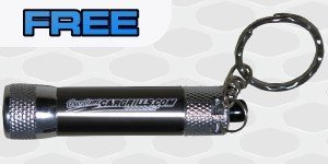 Free Flashlight