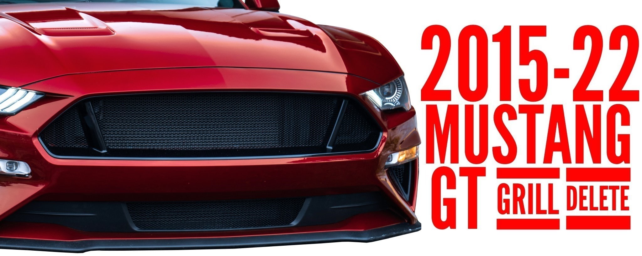 6th Gen Ford Mustang GT Mesh Inserts
