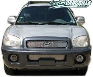 2001-04 Hyundai Santa Fe Mesh Grill Kit