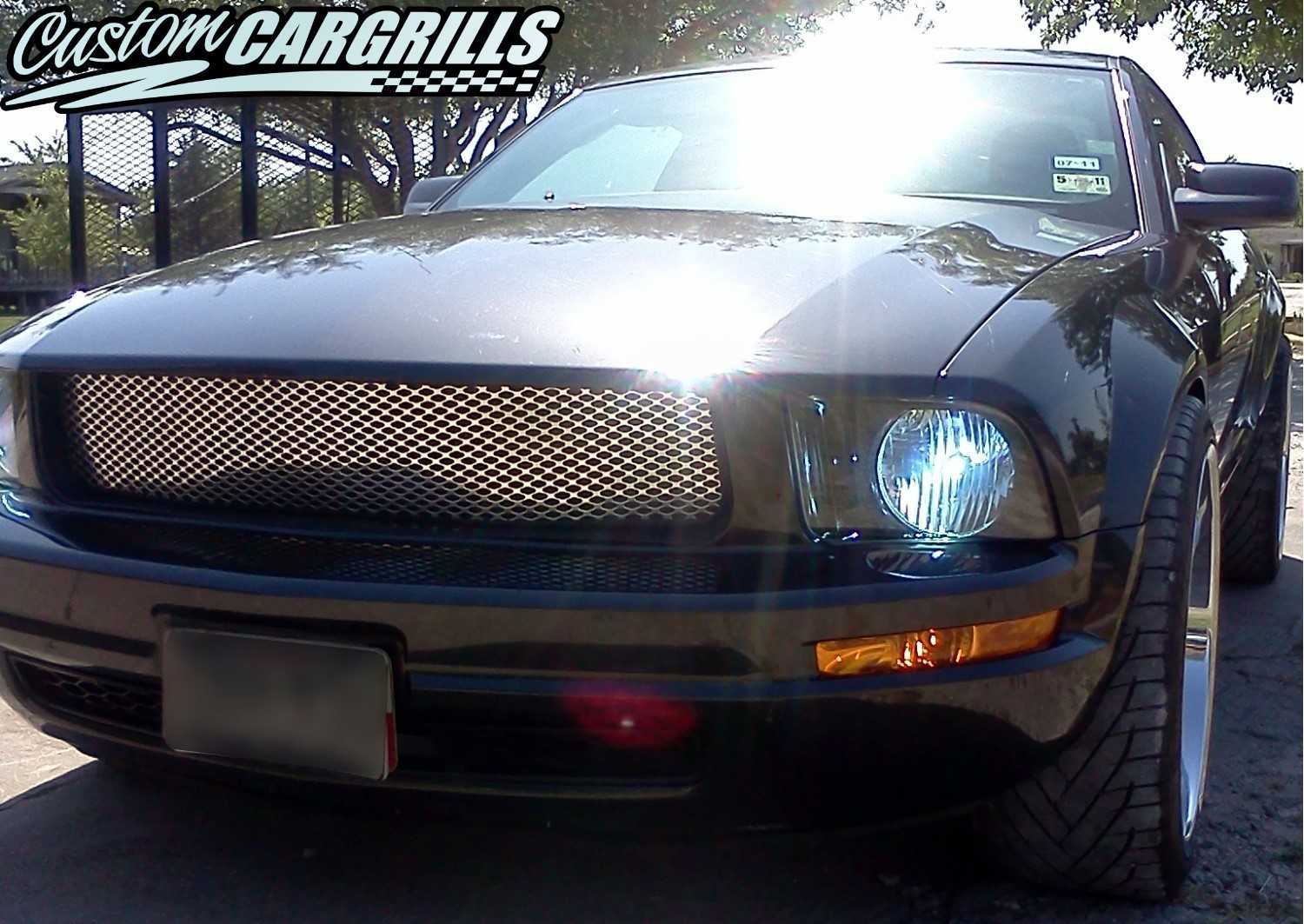 2005 - 2009 Ford Mustang V6 Mesh Grill Template #3