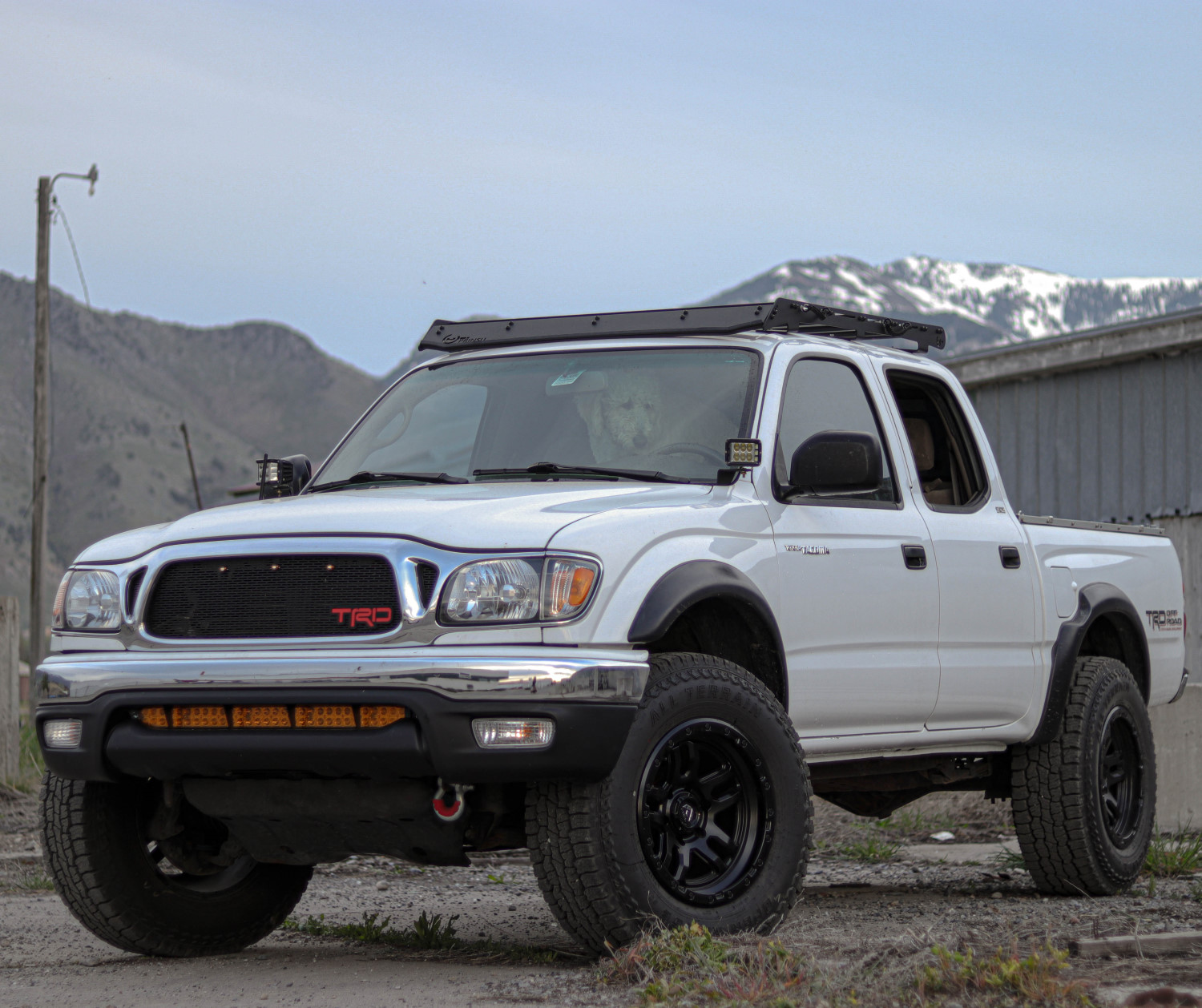 White Toyota Tacoma: Conquering the Mountains