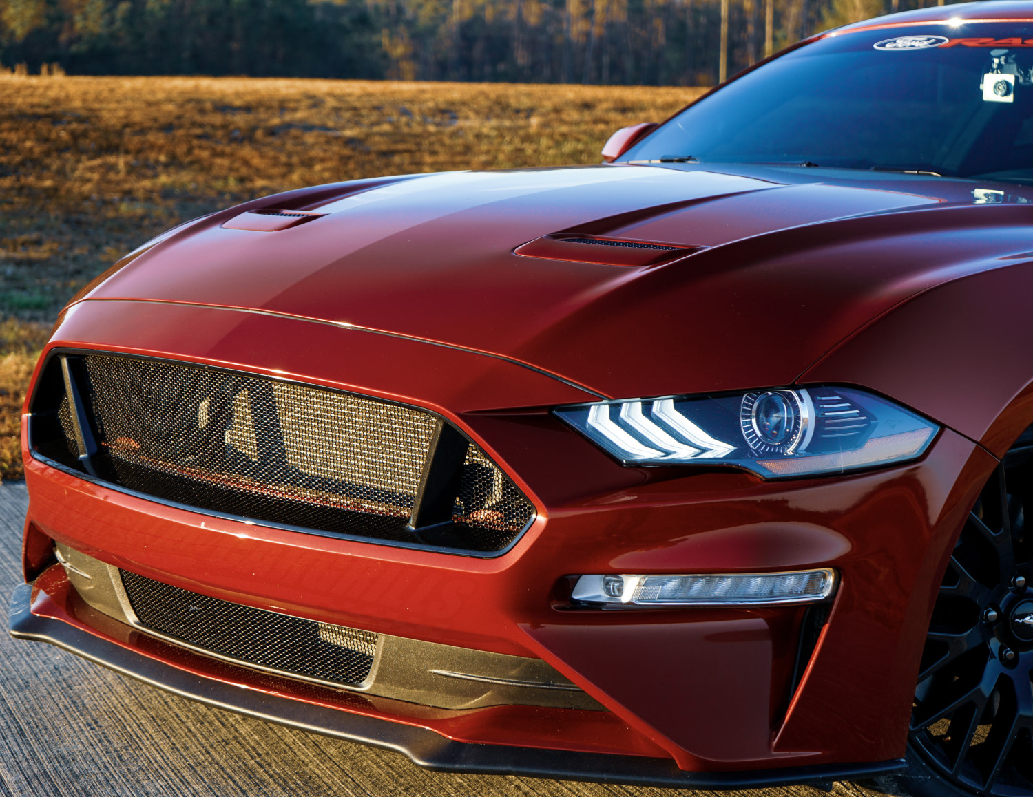 Pony-Free and Proud: Custom Grille for 2018+ Mustang