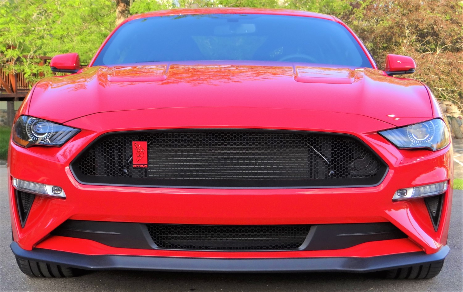 Hexagon Mesh Grille Upgrade for 2018 Ford Mustang Ecoboost: The Ultimate Style Boost
