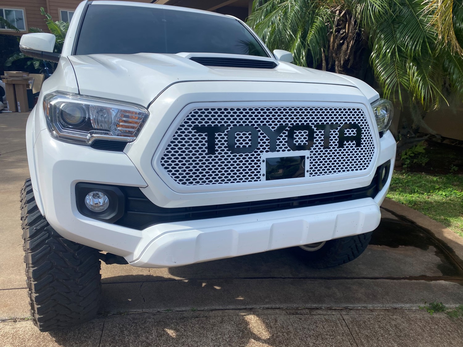 A New Level of Style: Adding a Special White Paint Job on a Reaper Mesh Grille for a Toyota Tacoma