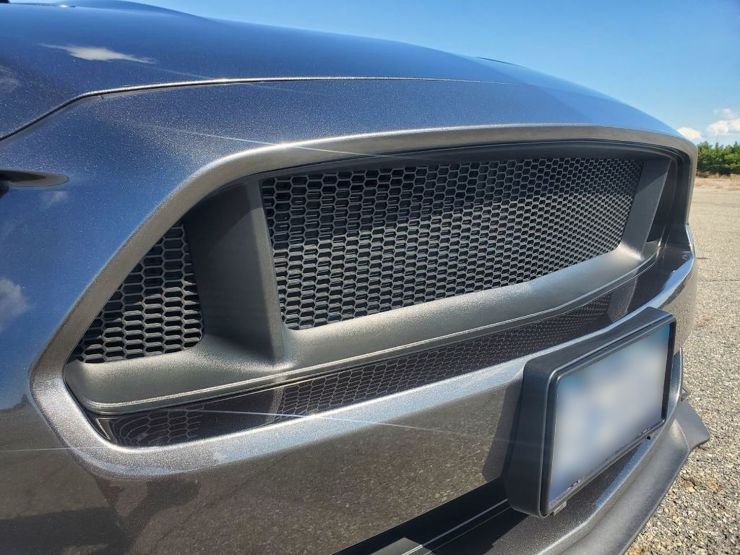 OEM Style Custom Grilles Made Easy - Plastic Diamond Mesh on 50th Anniversary Edition Ford Mustang GT