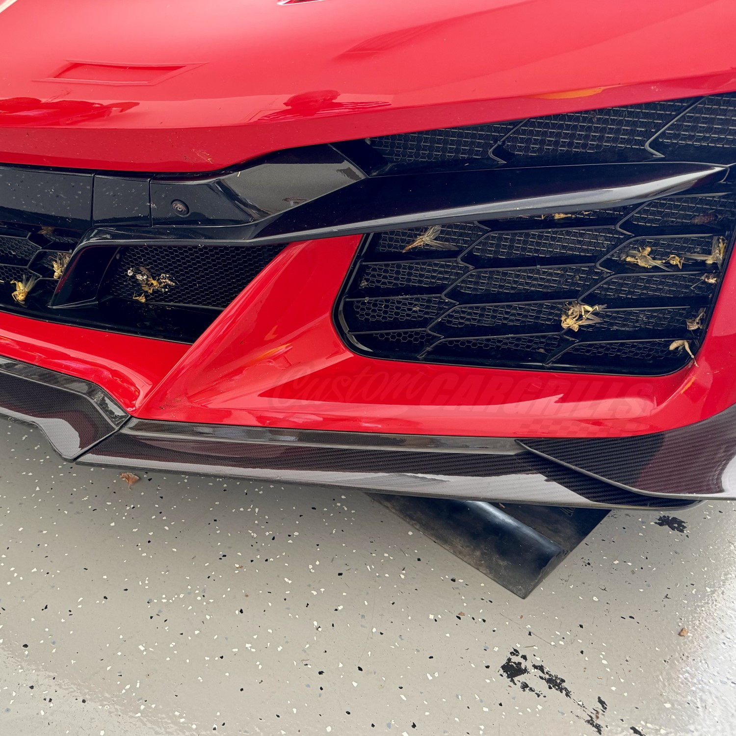 C8 Z06 Vette Radiator Grille Screens - Protecting your car from more than just rocks!
