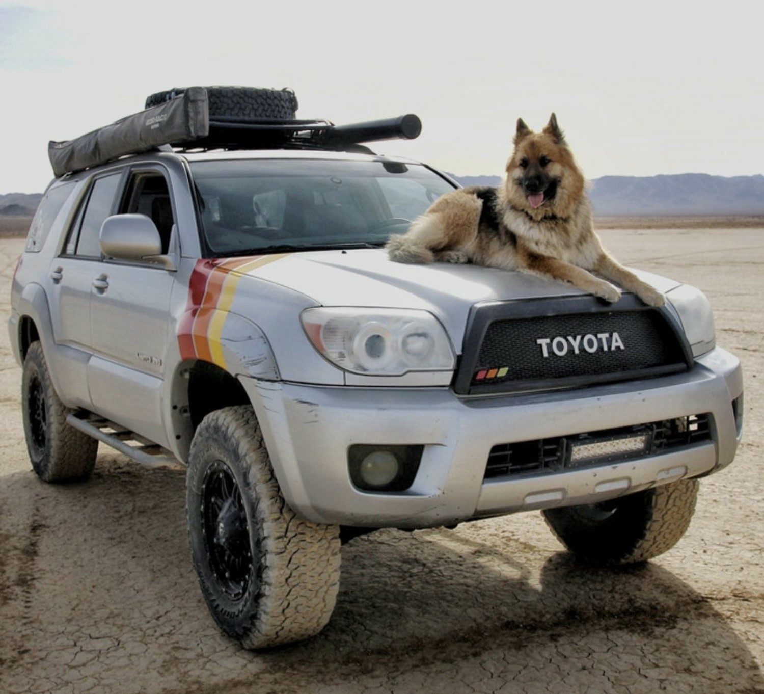 Off-Roading with Your Best Friend: Your Toyota 4Runner with Custom Grille and Dog