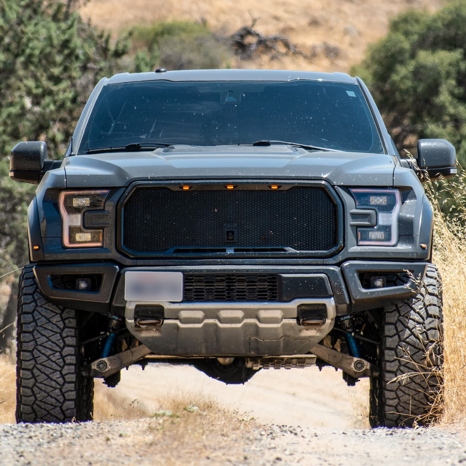 Raptor Unleashed: The Power of Simplicity with the Plain Grille Ford F150 Raptor