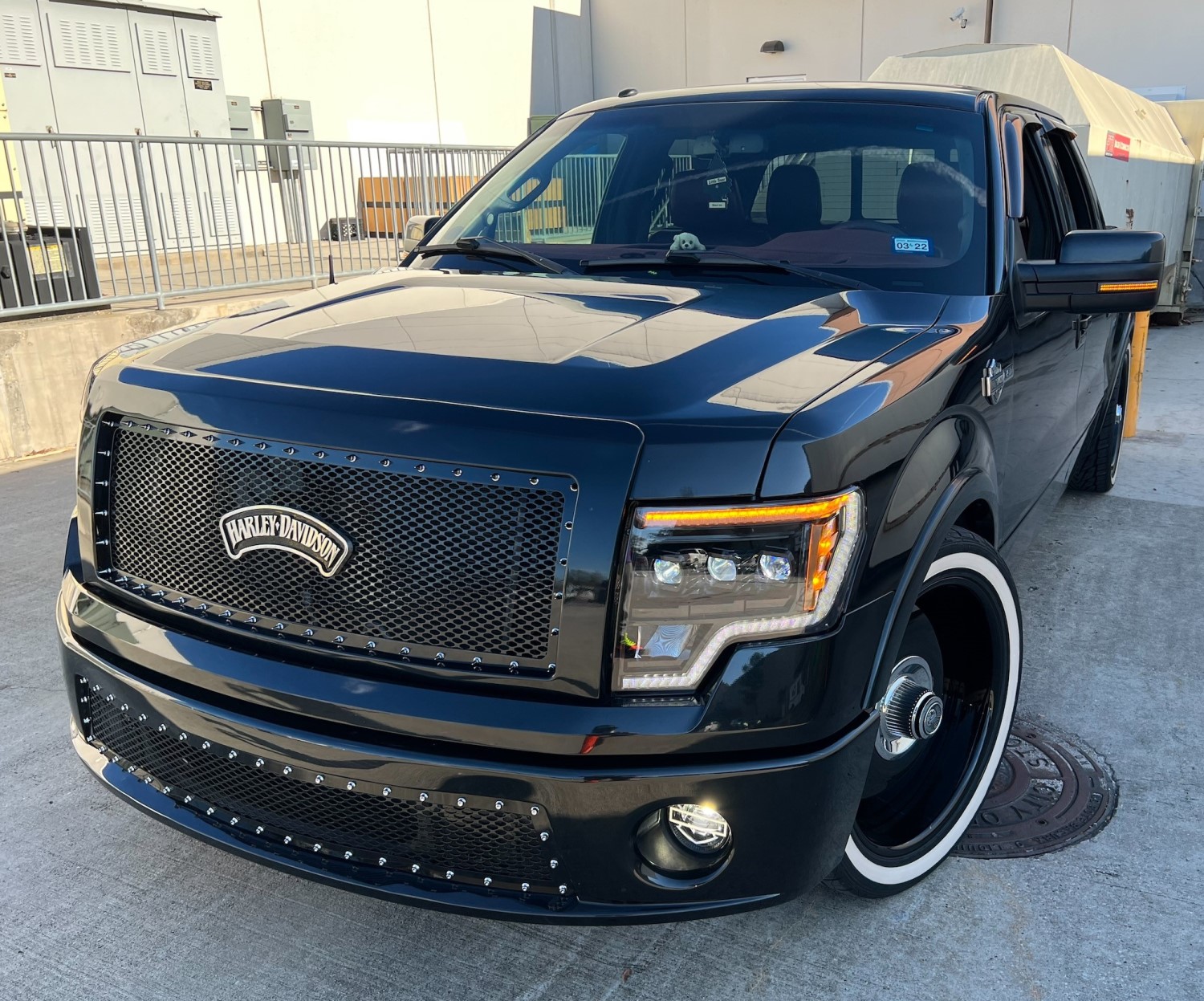 Custom Ford F150 Grille with Perf GT Mesh: Customer Showcase