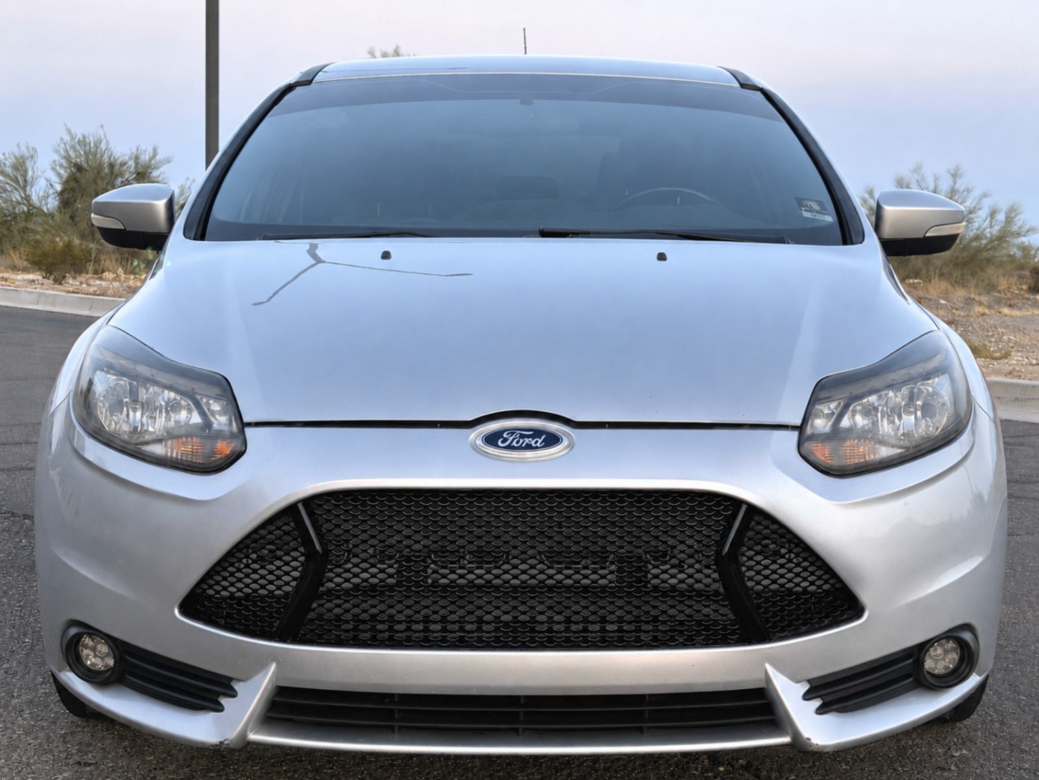 Missed the Beeks Grille? A New All-Mesh Option for the 2013–14 Focus ST