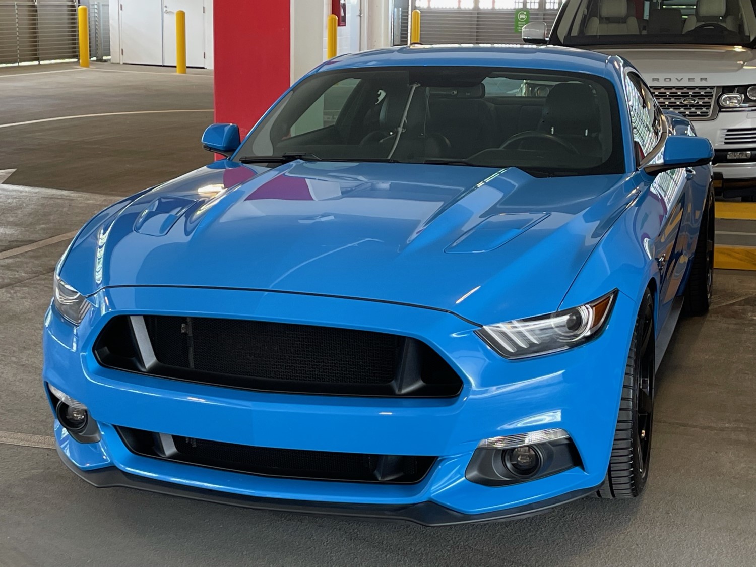 Grabbing Attention: A Plain Grille on a Grabber Blue Ford Mustang