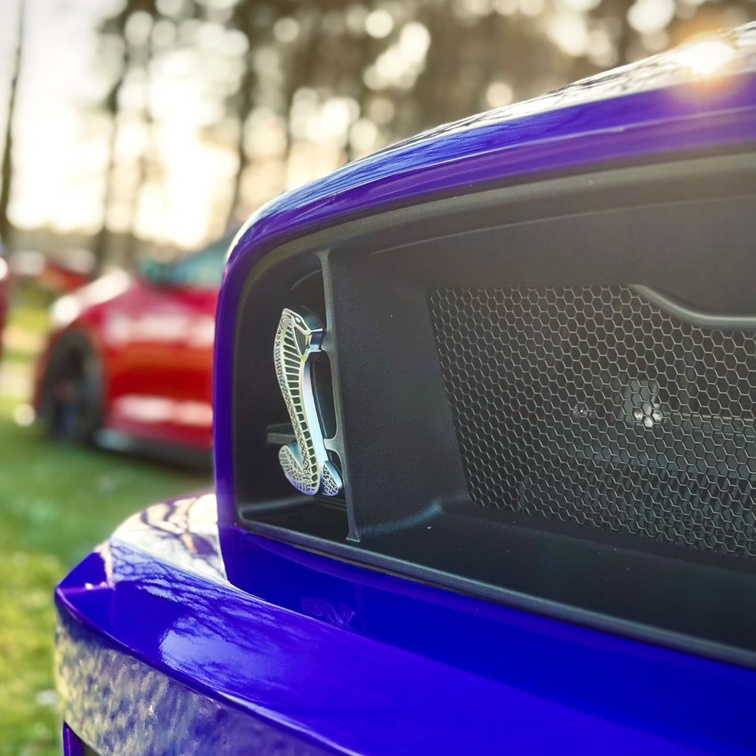 Big Impact with a Grille Mesh Set on Deep Impact Blue 2013-2014 Mustang GT500