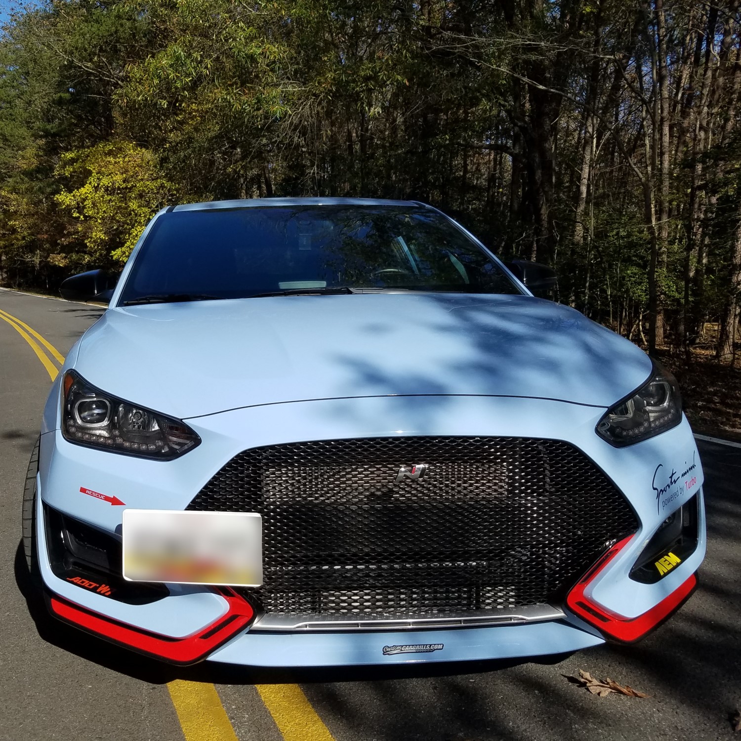 Custom Grille for Hyundai Veloster N: Elevating Style and Performance