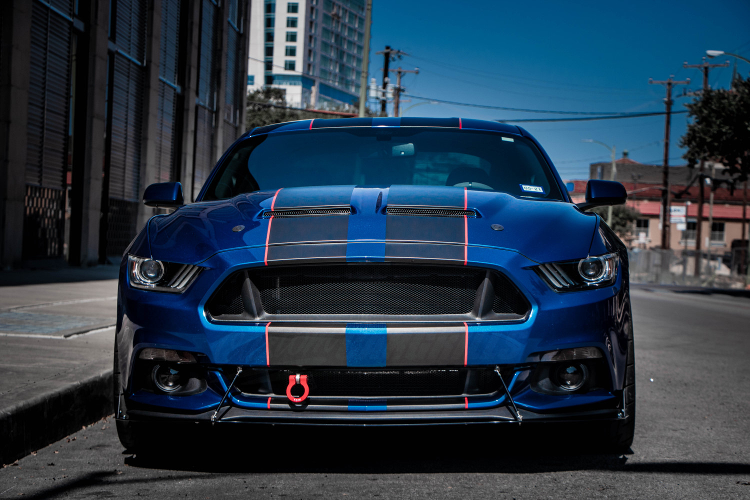 Unleash the Beast: Custom Grille and Mesh for Your Ford Mustang
