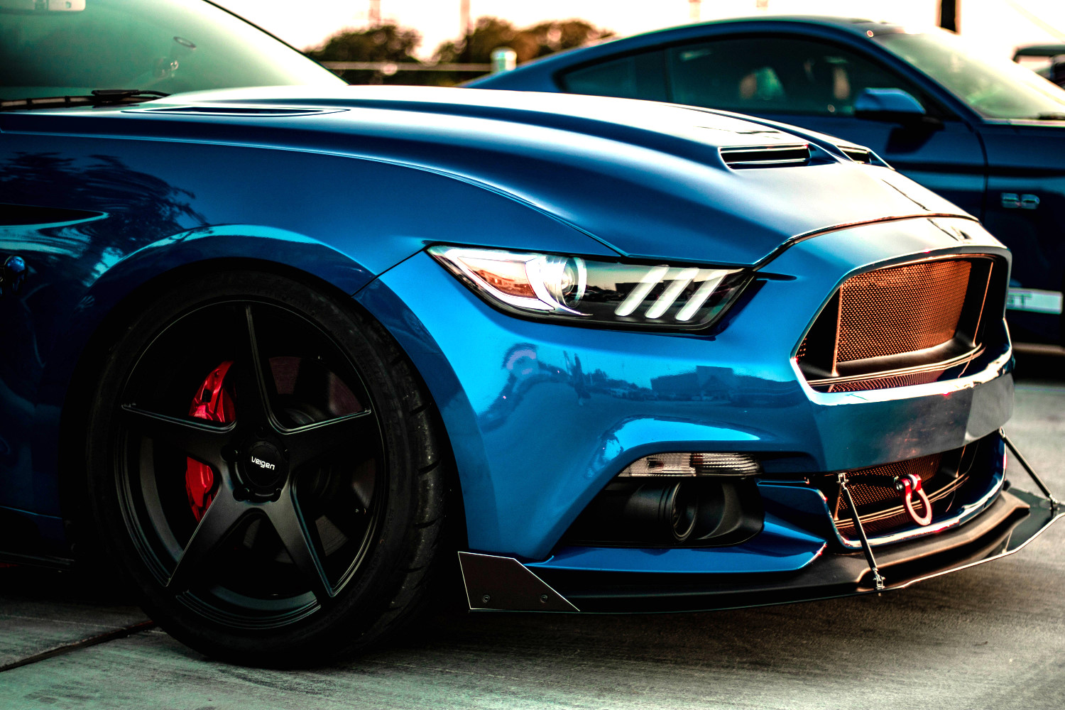 Sleek and Streamlined: Custom Grill Upgrade with No Emblem for Mustangs