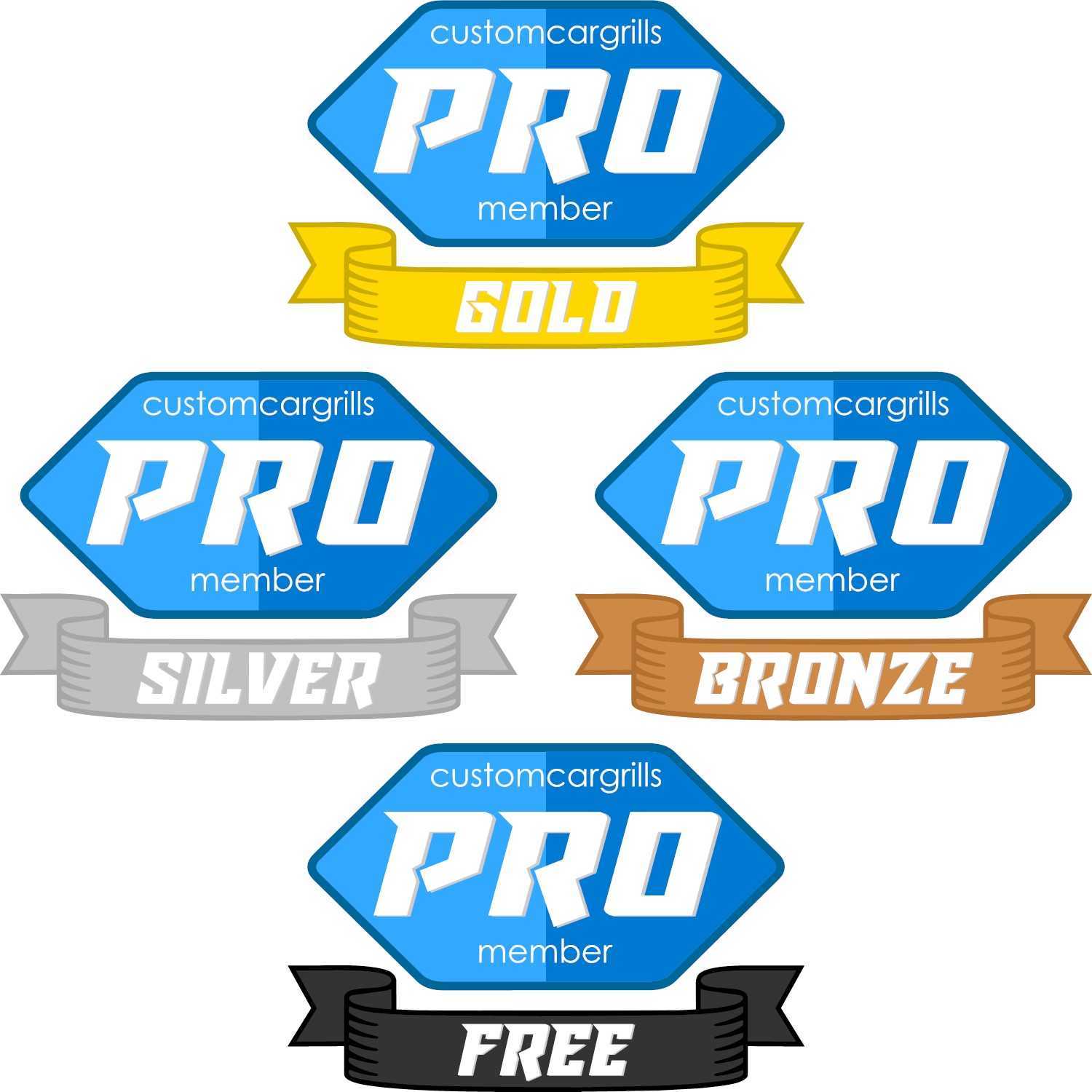 Pro Membership (12 months)